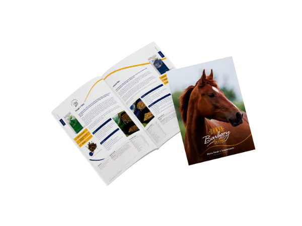 brochure icon